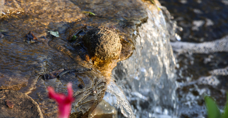 Water-Free Formulations