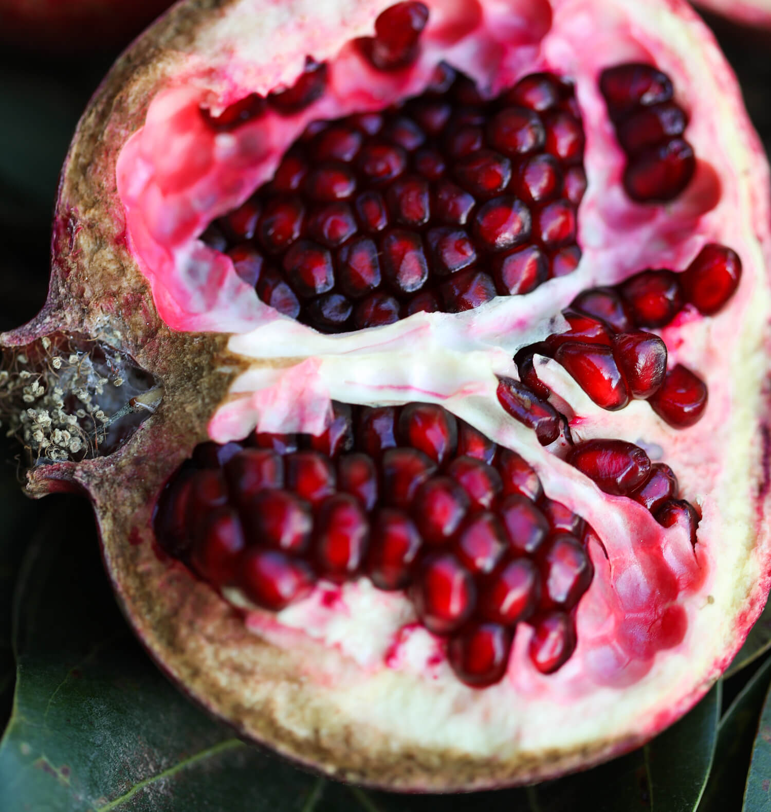 Pomegranate: A Powerful Antioxidant Behind the Unmistakable Retrouvé Radiance