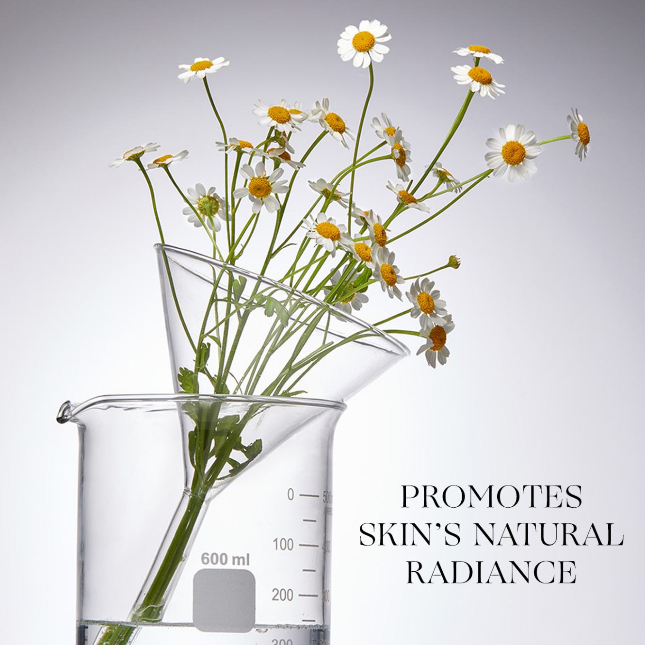 Conditioning Toner Pads 10-Pack