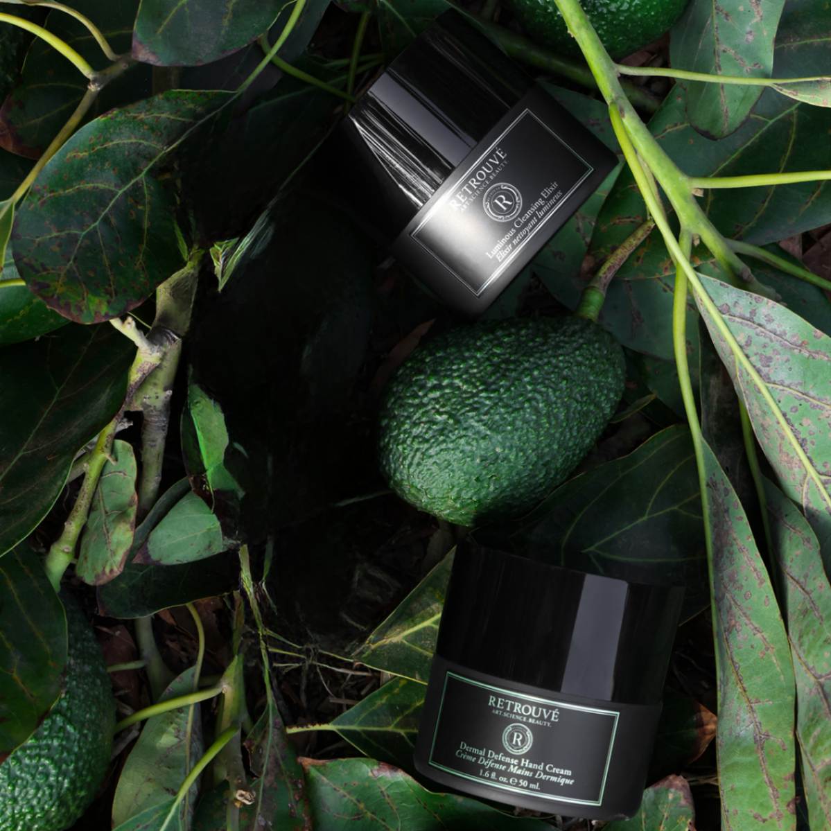 WITH LOVE FROM PALMS OF MALIBU™